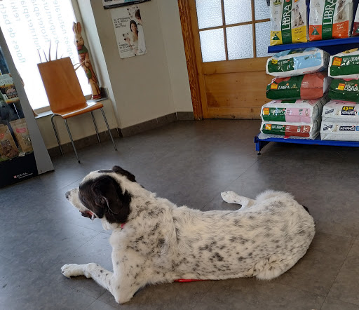 Clínica Veterinaria Las Gabias en Las Gabias