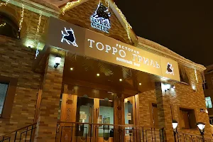 Torro grill image