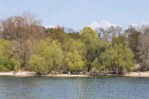 Bei der Silberpappel- NSG "Der Schlauch" image