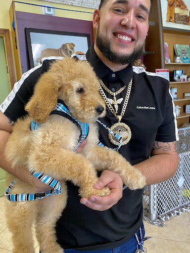 Pet Supply Store «Lil Rascals», reviews and photos, 10035 Gulf Center Dr #105, Fort Myers, FL 33913, USA