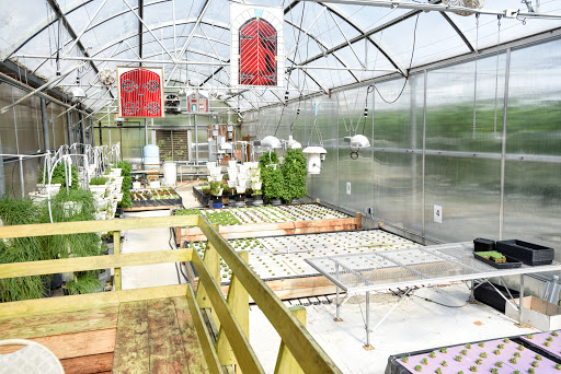 Grocery Store «Water Fresh Farm Marketplace», reviews and photos, 151 Hayden Rowe St, Hopkinton, MA 01748, USA