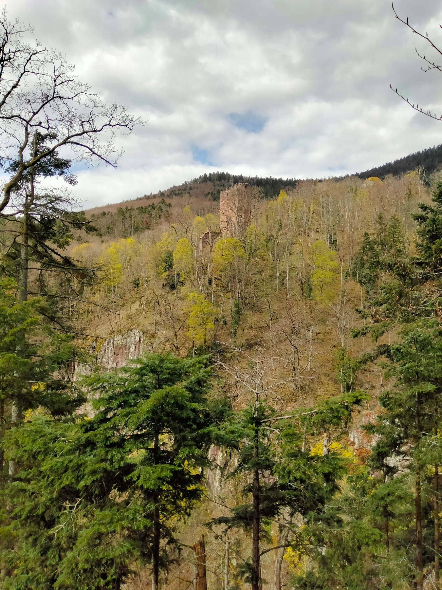 Photo n° 1 de l'avis de Bernard.o fait le 11/08/2023 à 16:52