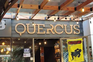 Quercus Bar image