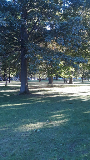 Art Museum «Isabella Stewart Gardner Museum», reviews and photos, 25 Evans Way, Boston, MA 02115, USA