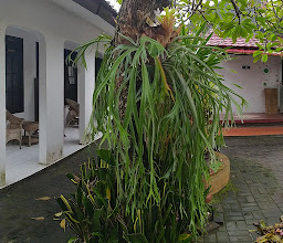 Tika Hotel photo