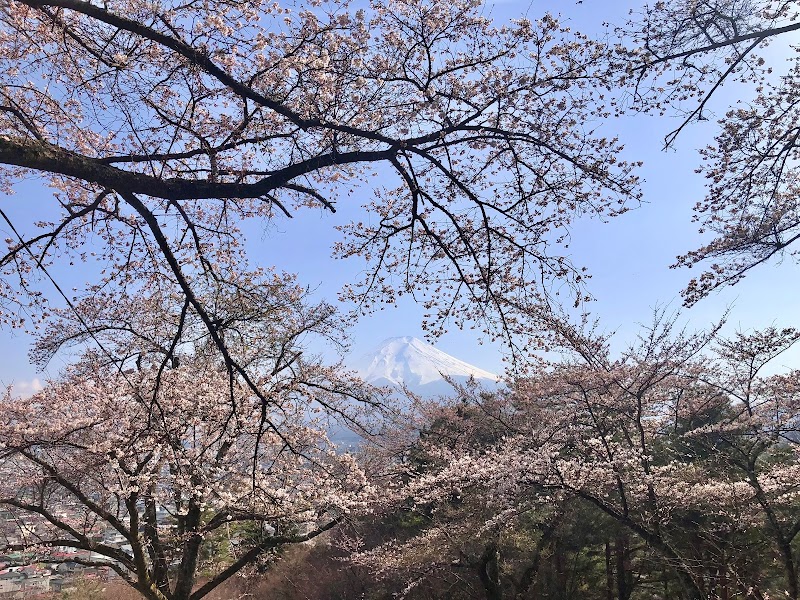 富士見孝徳公園