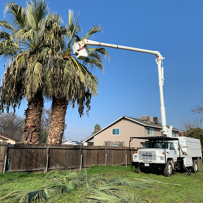 Central Valley Tree Service