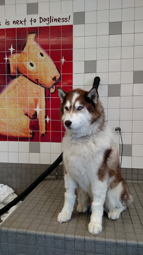 Pet Supply Store «Pet Food Express», reviews and photos, 5148 Stevens Creek Blvd, San Jose, CA 95129, USA