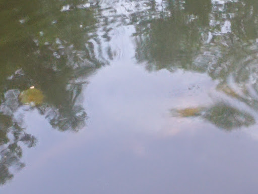 Park «Blacklick Woods Metro Park», reviews and photos, 6975 East Livingston Avenue, Reynoldsburg, OH 43068, USA