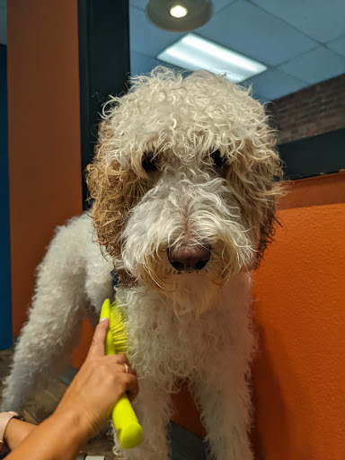 Pet Store «The Pet Works», reviews and photos, 407 4th Ave E, Olympia, WA 98501, USA