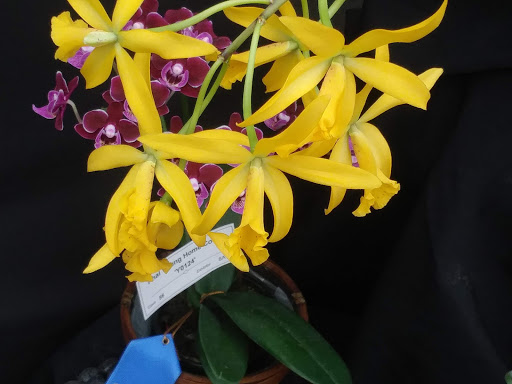 Park «Garfield Park», reviews and photos, 2505 Conservatory Dr, Indianapolis, IN 46203, USA