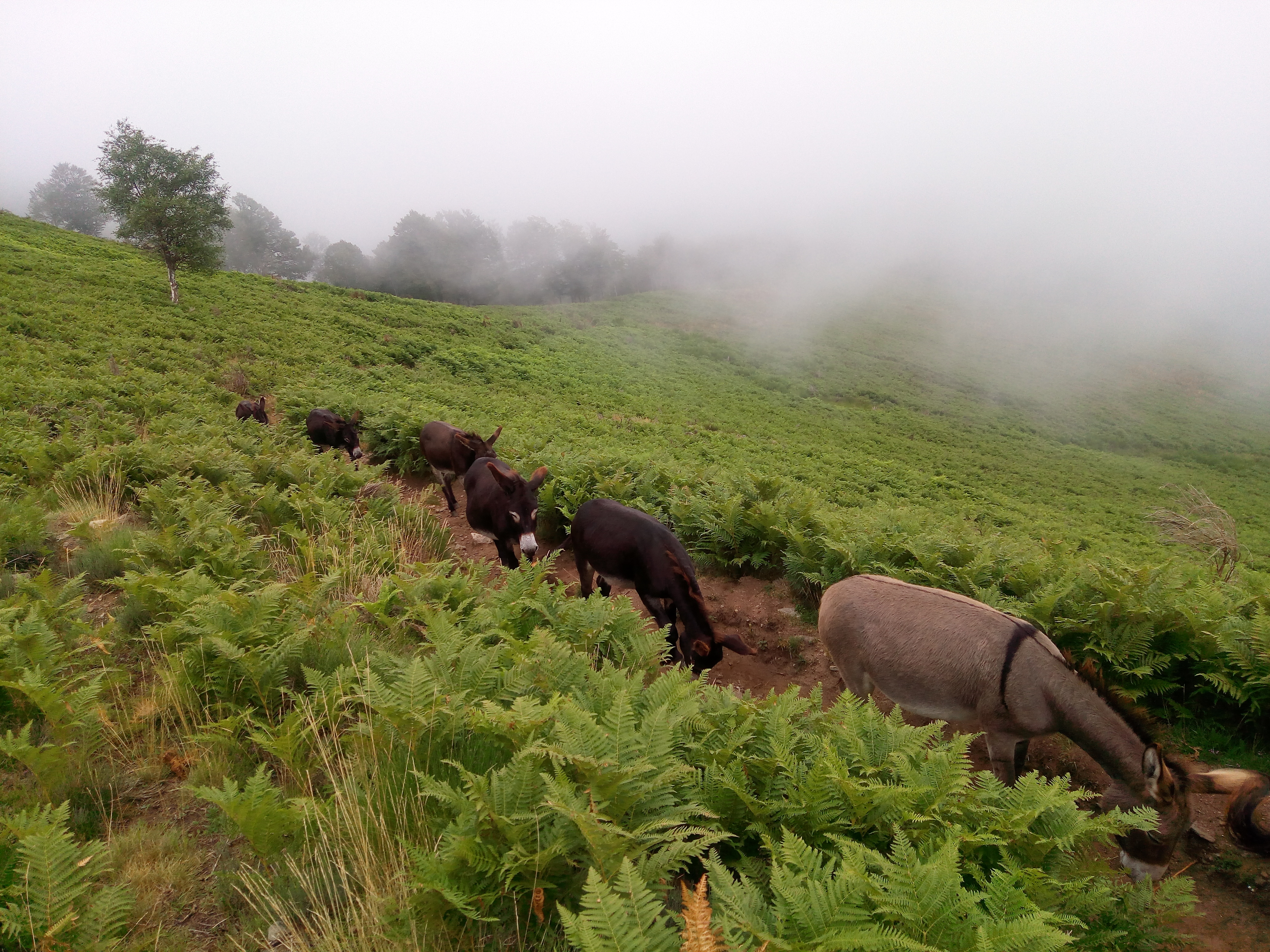 Photo n° 6 de l'avis de Philippe.e fait le 26/08/2017 à 15:07