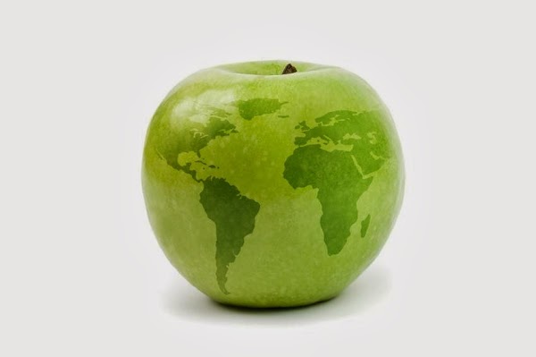 TRADUCTOR JURADO DE FRANCÉS VALLADOLID M Aránzazu Gómez Martínez