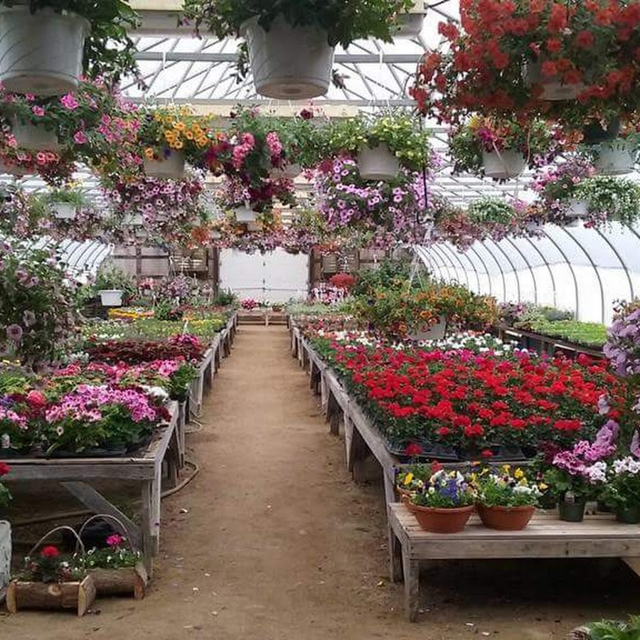 Jandreau's Greenhouse