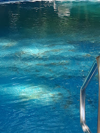 Perry Pool Service - Photo 4 - Car repair in Elko, GA, Warner Robins