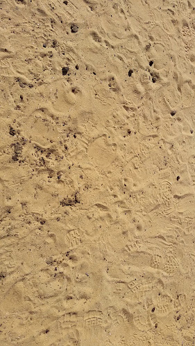 חוות הגמלים בנגב ממשית Negev Camel Ranch - דימונה
