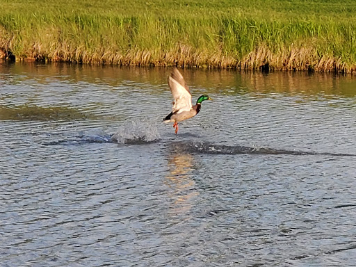 Country Club «North Shore Country Club», reviews and photos, 3100 W Country Club Dr, Mequon, WI 53092, USA