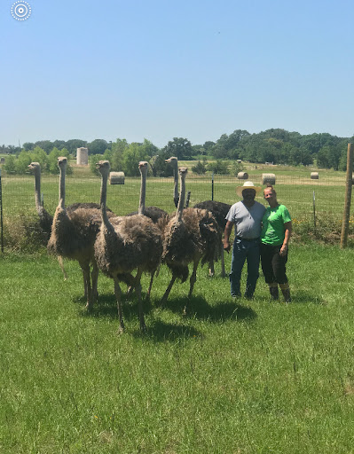 Happy Acres Ostrich Ranch