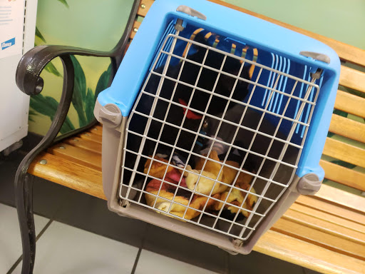 For Pets Sake Animal Hospital