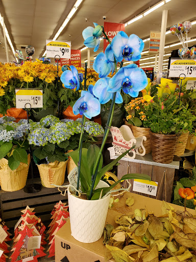 Supermarket «Lucky», reviews and photos, 15840 Hesperian Blvd, San Lorenzo, CA 94580, USA