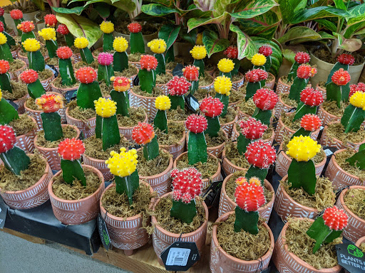 Home Improvement Store «The Home Depot», reviews and photos, 6140 Hamner Ave, Mira Loma, CA 91752, USA