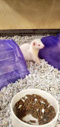 Pet Supply Store «Petco Animal Supplies», reviews and photos, 513 S Mason Rd, Katy, TX 77450, USA