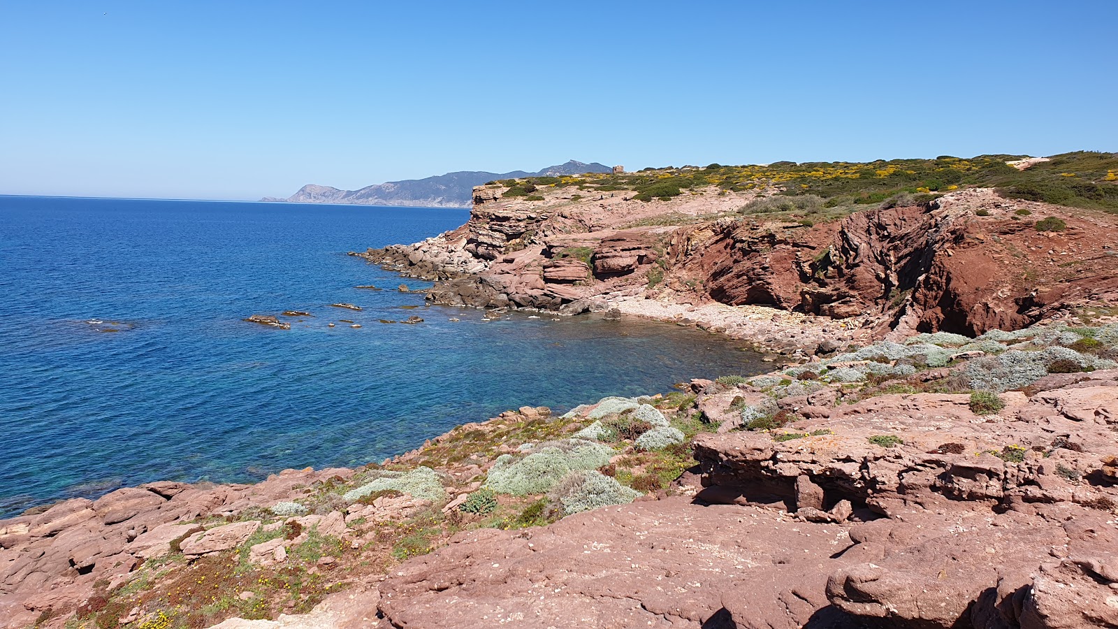 Cala Viola'in fotoğrafı uçurumlarla desteklenmiş