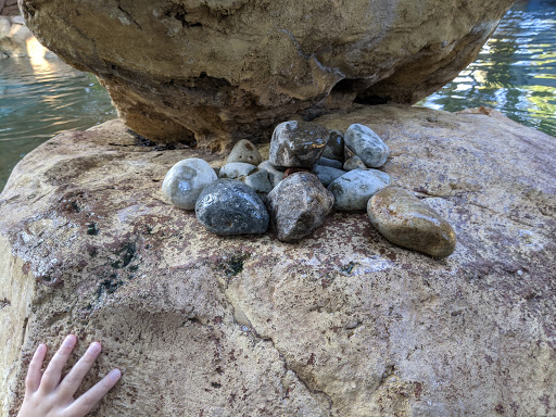 Water Park «Discovery Cove», reviews and photos, 6000 Discovery Cove Way, Orlando, FL 32821, USA