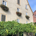 Photo n°1 de l'avis de Annette.e fait le 10/08/2022 à 16:30 sur le  Zipf's Steak-Lounge à Miltenberg