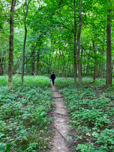 Park «Hickory Creek Preserve - LaPorte Road Access», reviews and photos, 10537 W La Porte Rd, Mokena, IL 60448, USA