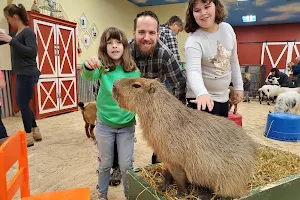 Big Red's Barn Indoor Animal Experience and Education image