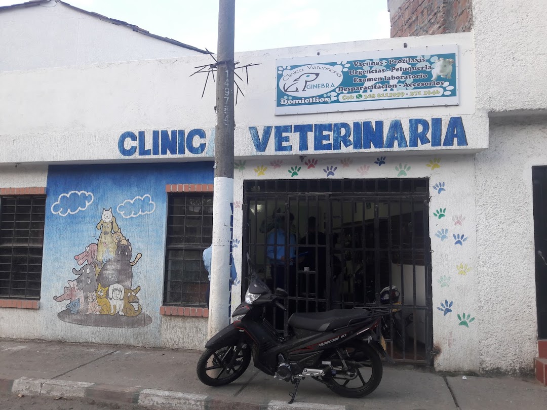 Clinica Veterinaria Ginebra