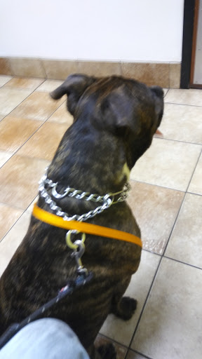 Pet Supply Store «PetSmart», reviews and photos, 250 Grossman Dr, Braintree, MA 02184, USA