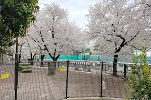 Ochiai Park image