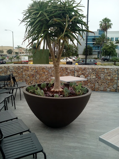 Grocery Store «Albertsons», reviews and photos, 19640 Beach Blvd, Huntington Beach, CA 92648, USA