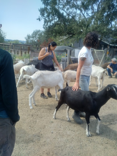 Livestock breeder Santa Rosa
