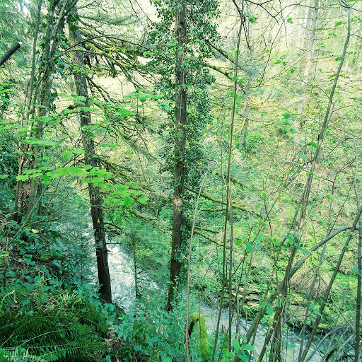 American Football Field «Doc Harris Stadium», reviews and photos, 1125 NE 22nd Ave, Camas, WA 98607, USA