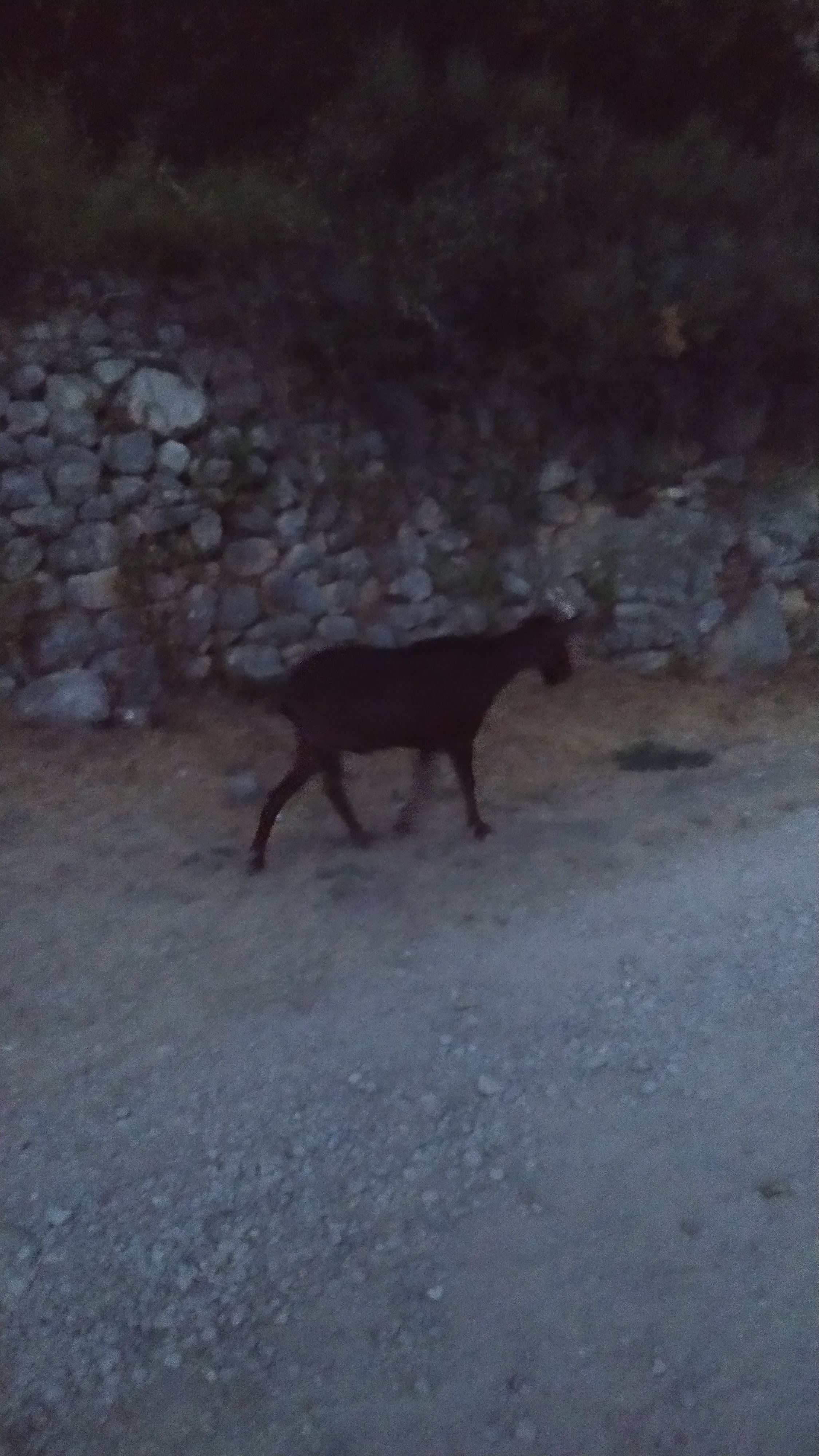 Photo n° 6 de l'avis de TaZx.a fait le 31/07/2020 à 20:34