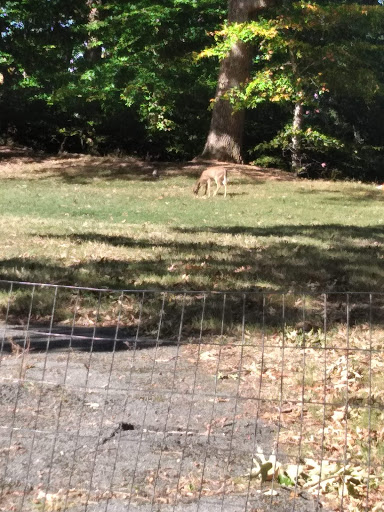 Park «Fort Circle Park», reviews and photos, Minnesota Ave SE, Washington, DC 20019, USA