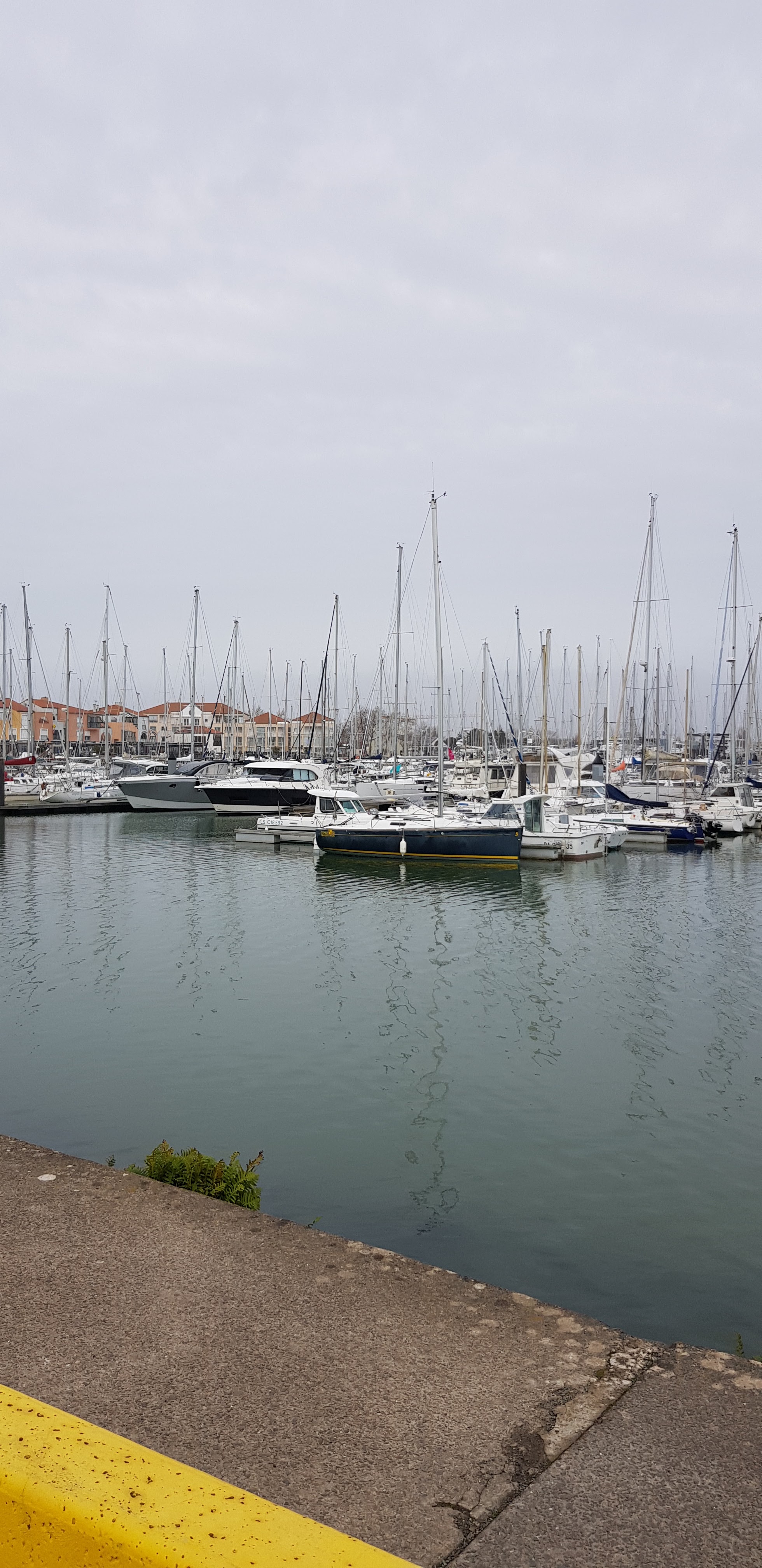 Photo n° 2 de l'avis de Thierry.a fait le 07/03/2021 à 15:14