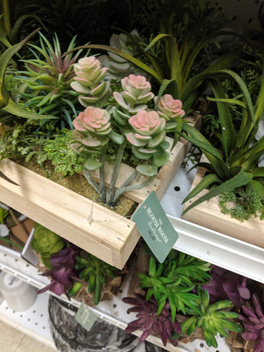 Fabric Store «Jo-Ann Fabrics and Crafts», reviews and photos, 838 Plaza Blvd, Lancaster, PA 17601, USA