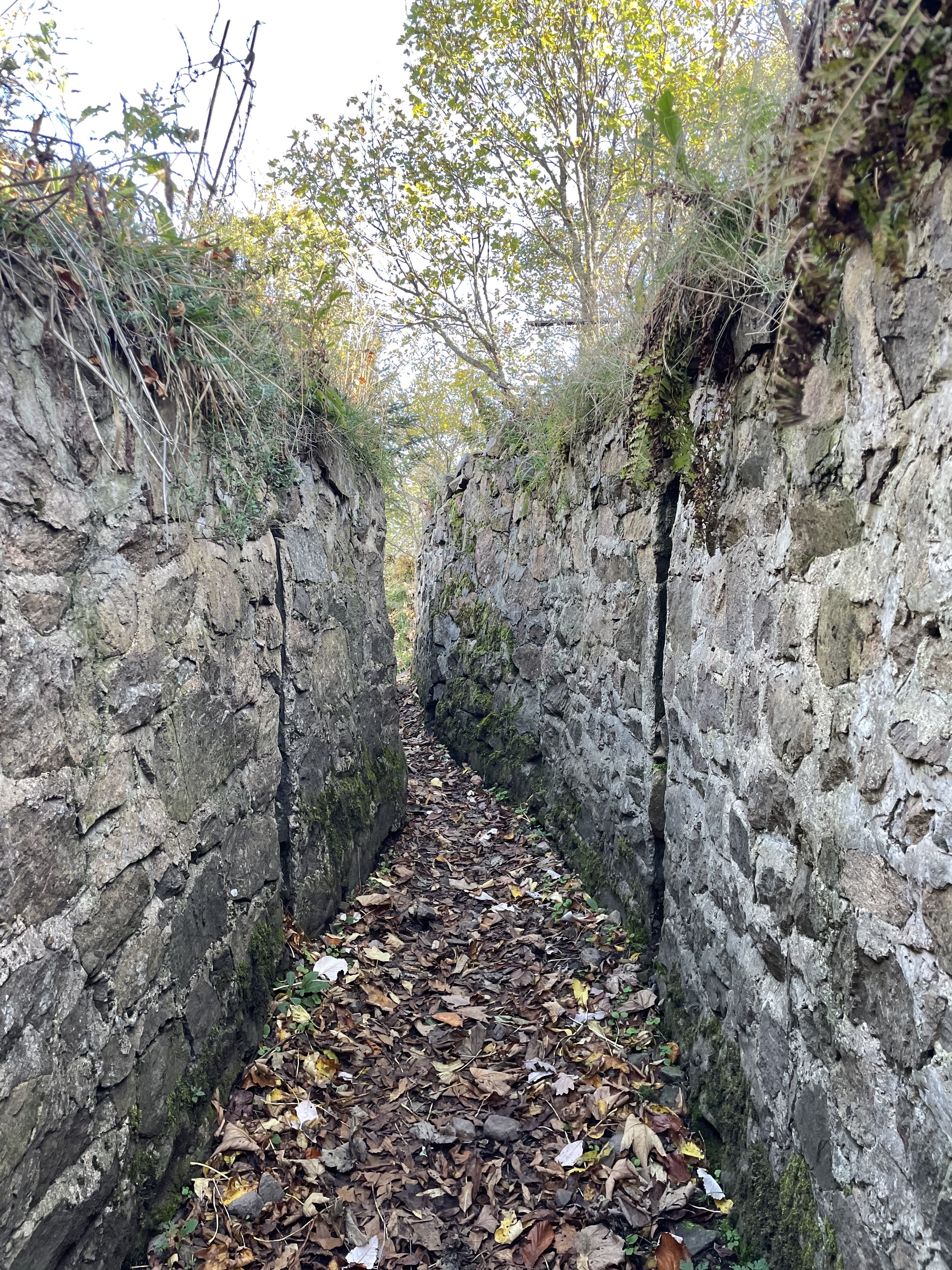 Photo n° 1 de l'avis de NC.o fait le 27/10/2022 à 19:04