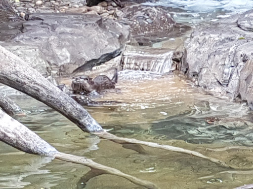 Water Park «Discovery Cove», reviews and photos, 6000 Discovery Cove Way, Orlando, FL 32821, USA