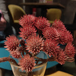 Photo n°1 de l'avis de Mauro.r fait le 30/10/2022 à 10:27 sur le  NOVA food pairing à Palermo