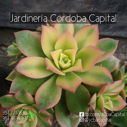 Jardinería Córdoba Capital