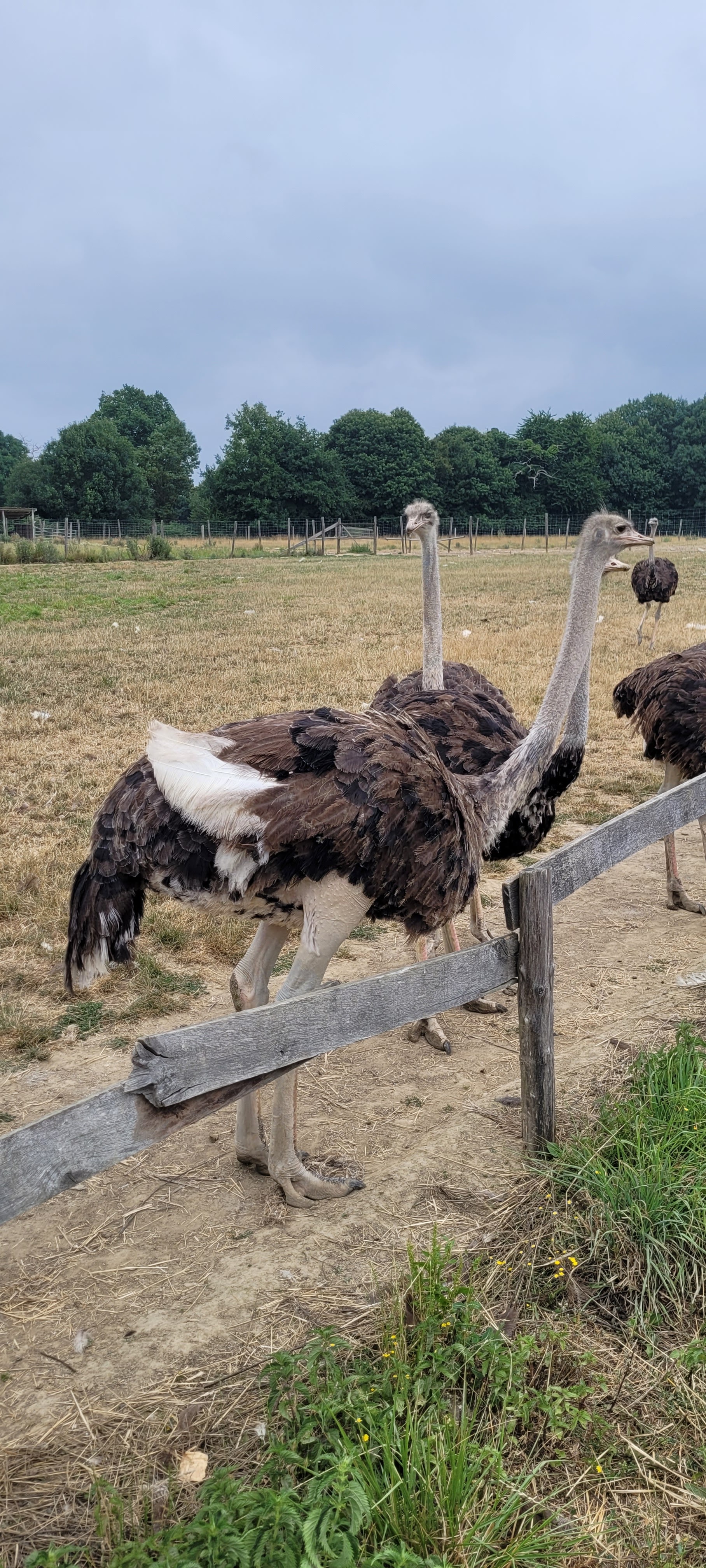 Photo n° 1 de l'avis de Nassima.o fait le 30/07/2022 à 21:47