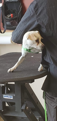 Pet Supply Store «Pet Supplies Plus», reviews and photos, 1791 W Columbia Ave, Battle Creek, MI 49015, USA