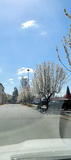 Grocery Store «Albertsons», reviews and photos, 4010 A St SE, Auburn, WA 98002, USA