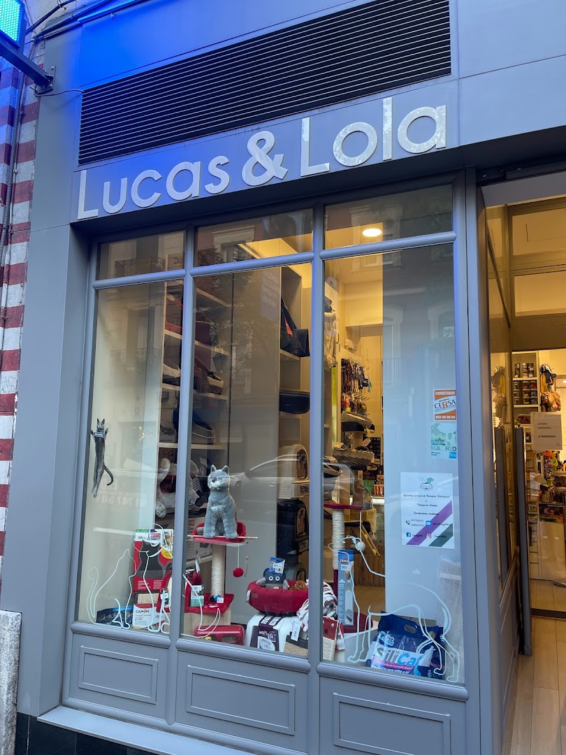 Lucas & Lola Dog Family
