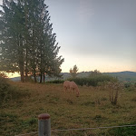 Photo n°4 de l'avis de Sergio.e fait le 03/10/2023 à 21:10 sur le  La capr'allegra à Gallio